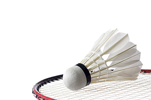 在这个过程 在这个过程