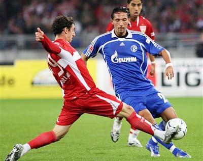 的适应能力 的适应能力