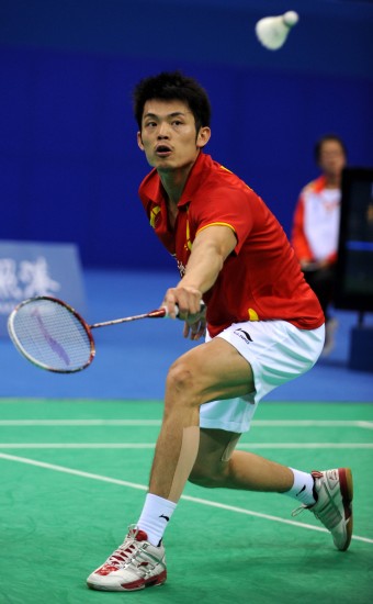 情感纽带 情感纽带